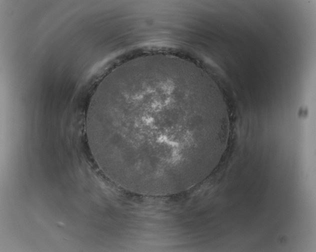 X0000114650870200910201506