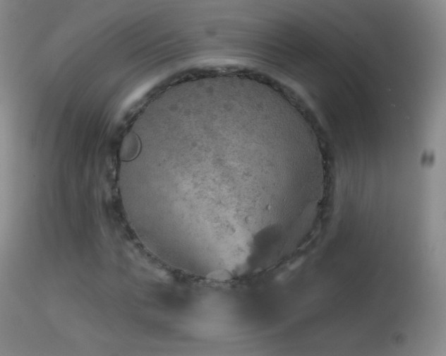 X0000114650871200910201506