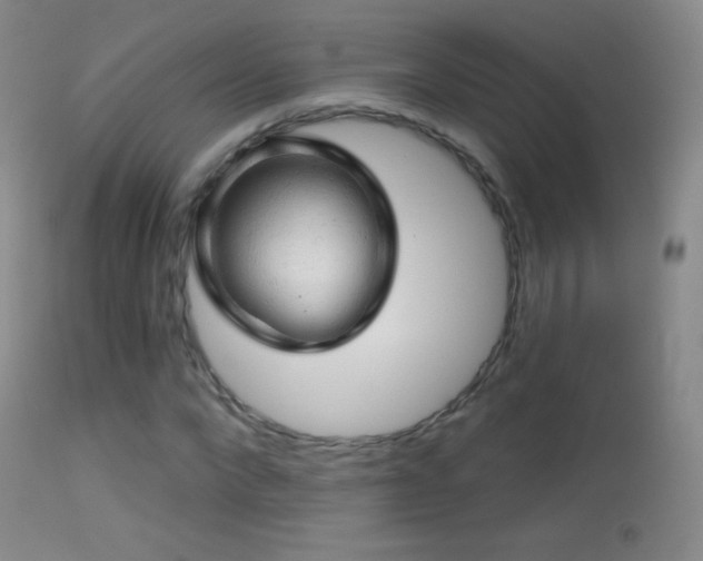 X0000114650872200910201506