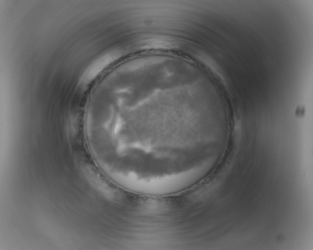 X0000114650874200910201506