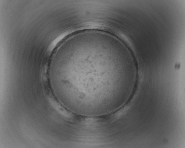X0000114650875200910201506