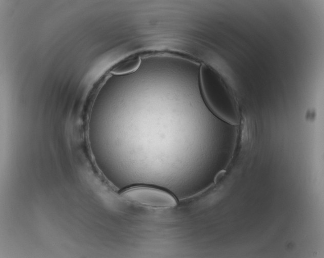 X0000114650876200910201506