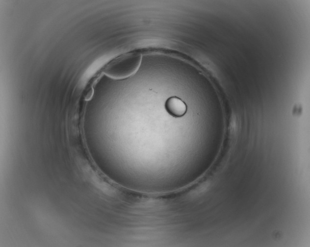 X0000114650877200910201506