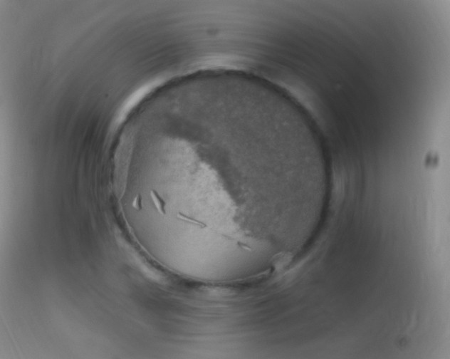 X0000114650878200910201506