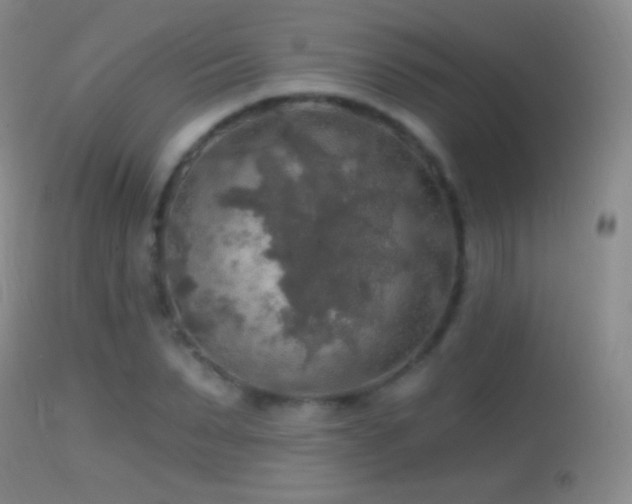 X0000114650879200910201506