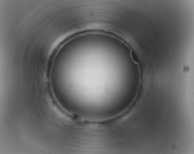 X0000114650880200910201506