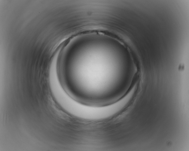 X0000114650881200910201506