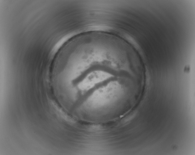 X0000114650883200910201506