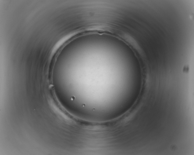 X0000114650884200910201506