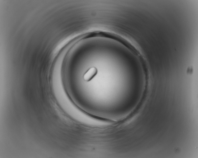 X0000114650885200910201506