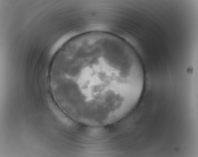 X0000114650886200910201506