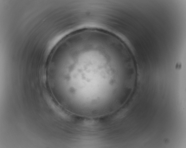 X0000114650887200910201506