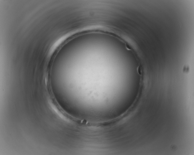 X0000114650888200910201506