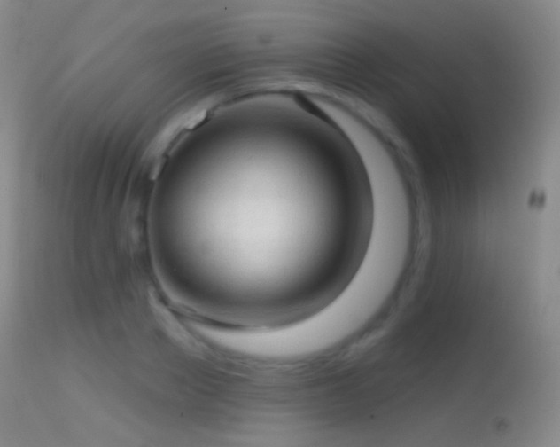 X0000114650889200910201506