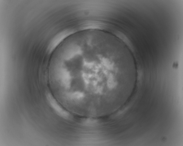 X0000114650890200910201506