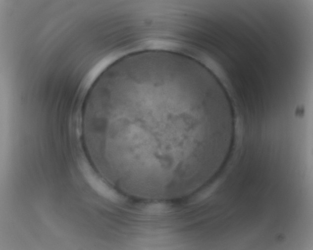 X0000114650891200910201506