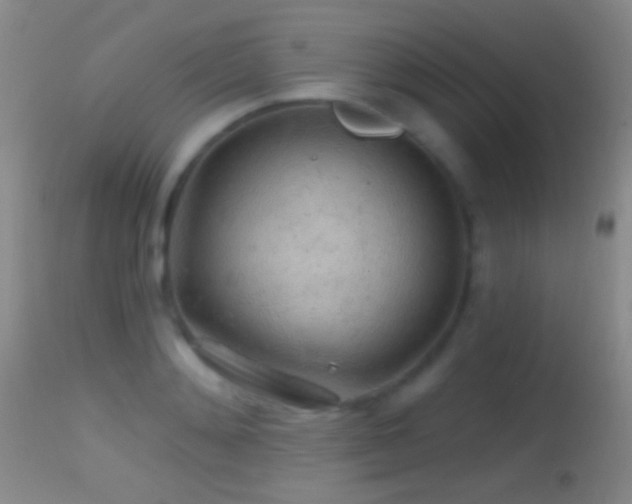 X0000114650892200910201506