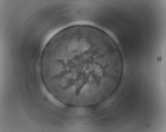 X0000114650895200910201506