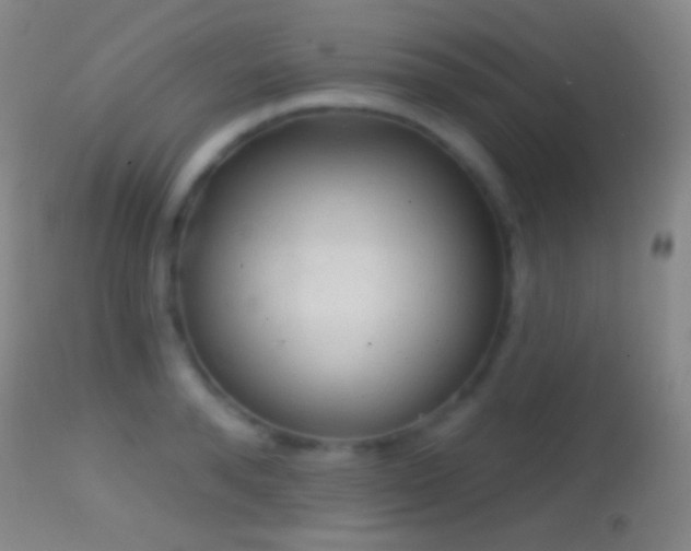 X0000114650896200910201506