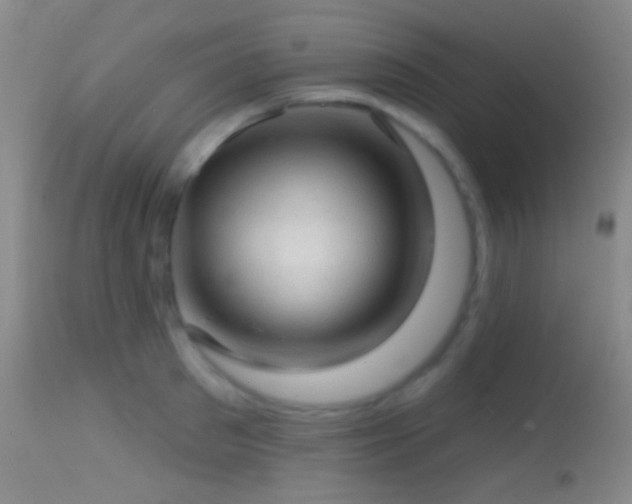 X0000114650897200910201506