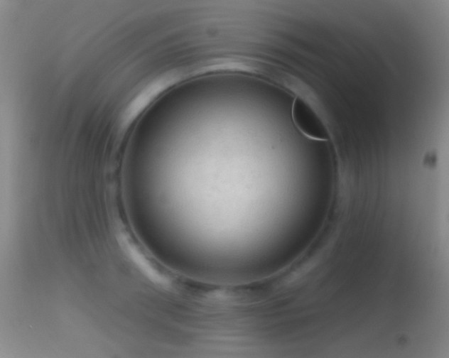 X0000114650898200910201506