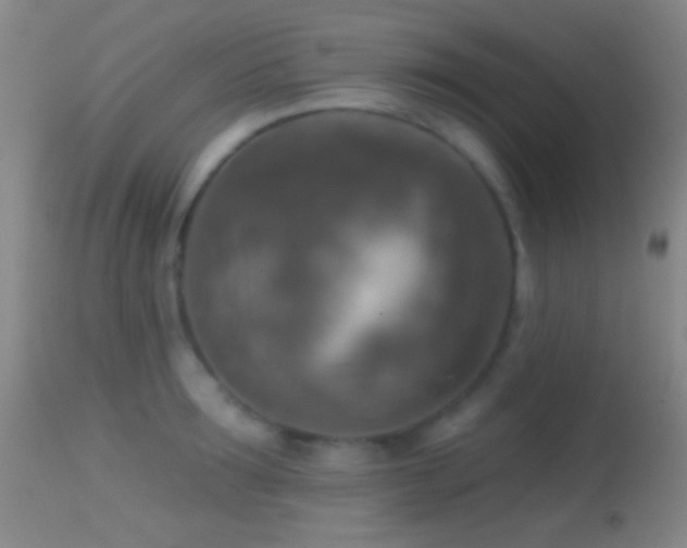 X0000114650899200910201506