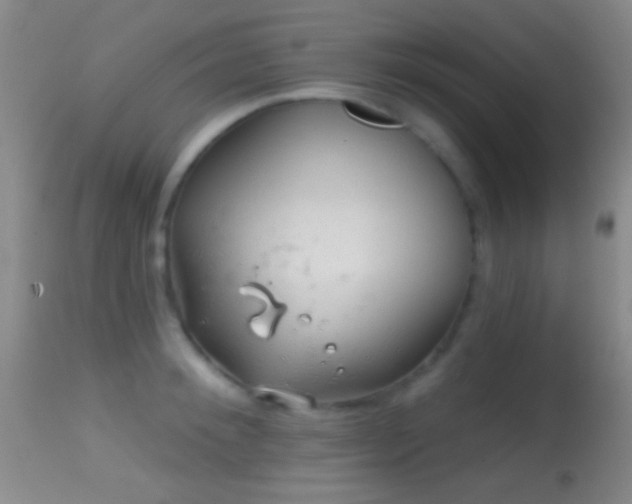 X0000114650900200910201506