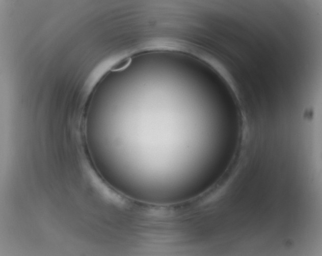 X0000114650901200910201506