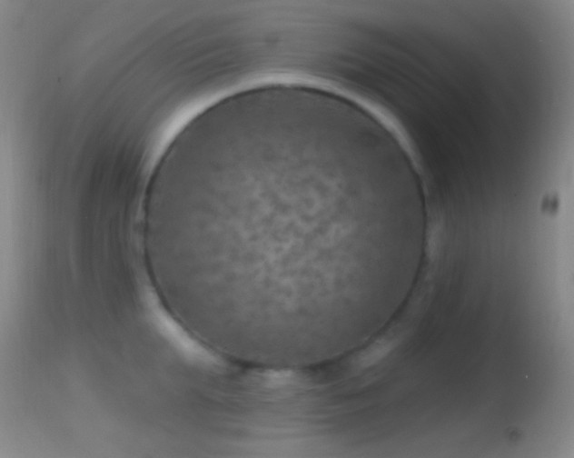 X0000114650903200910201506