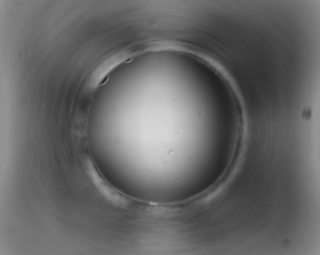 X0000114650905200910201506