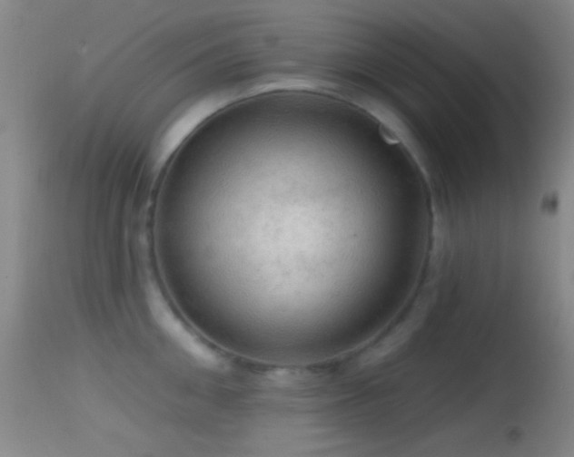 X0000114650906200910201506