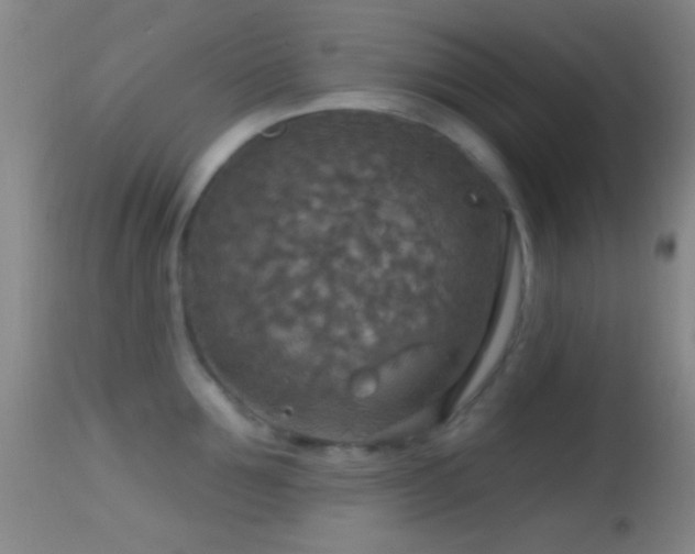 X0000114650907200910201506