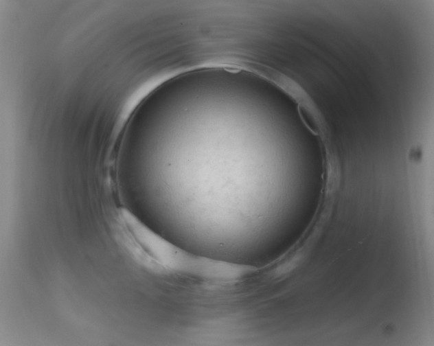 X0000114650908200910201506
