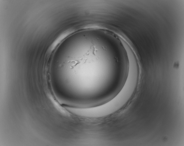 X0000114650909200910201506