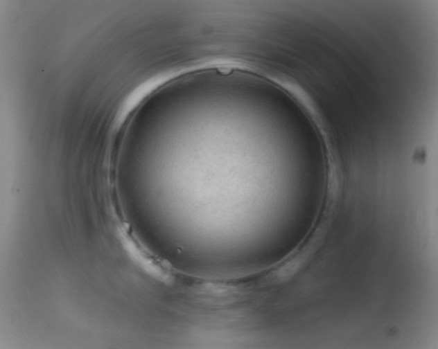 X0000114650910200910201506