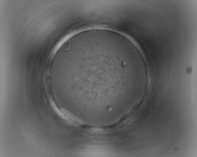 X0000114650911200910201506