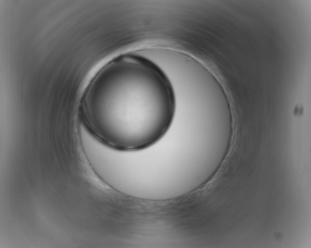 X0000114650912200910201506