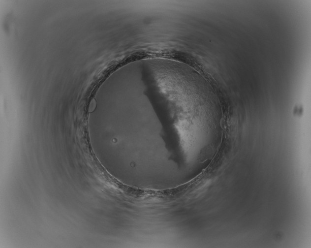 X0000114650913200910201505