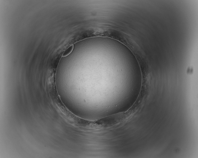 X0000114650914200910201505