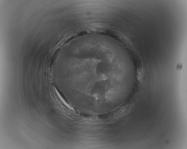 X0000114650915200910201505