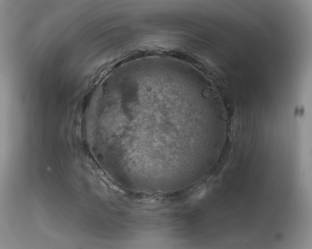 X0000114650917200910201505
