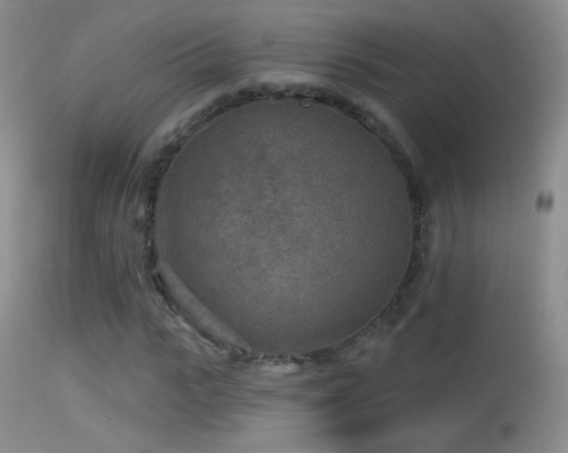 X0000114650919200910201505