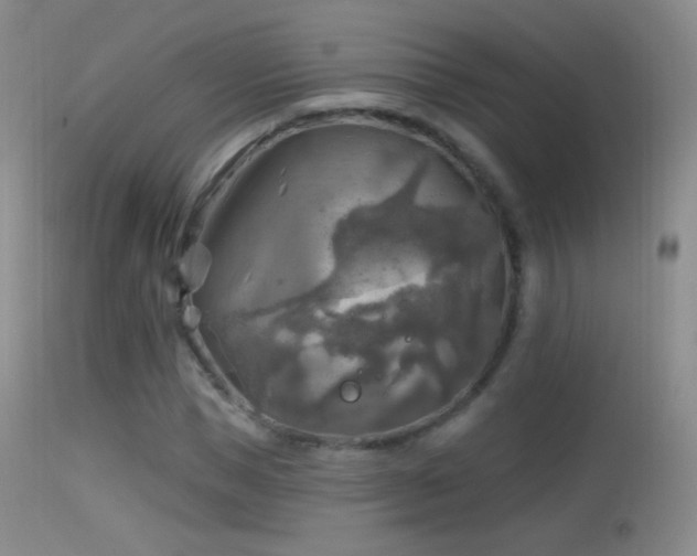 X0000114650921200910201505