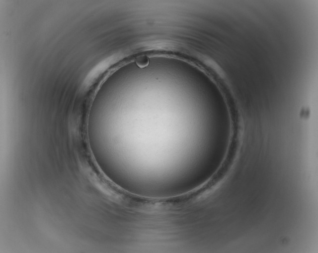 X0000114650922200910201505