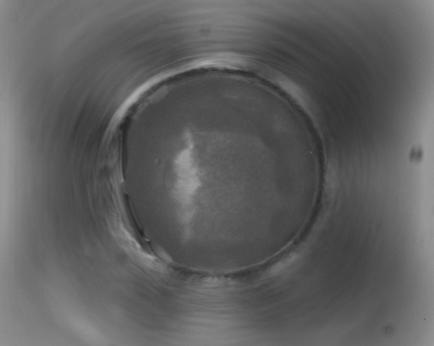 X0000114650923200910201505
