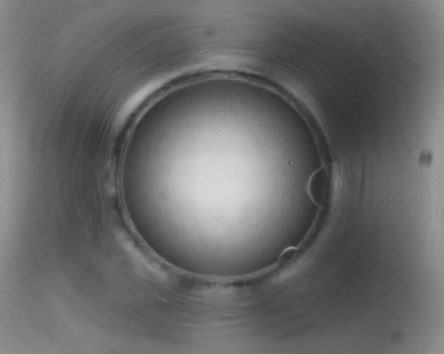 X0000114650925200910201505