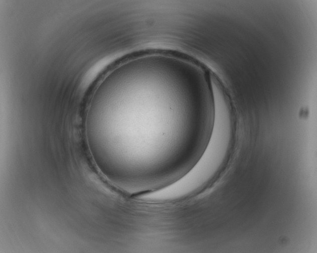 X0000114650926200910201505