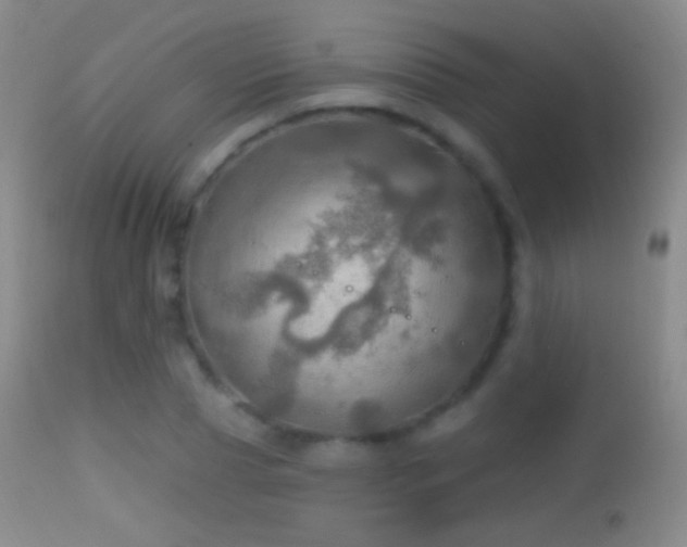 X0000114650929200910201505
