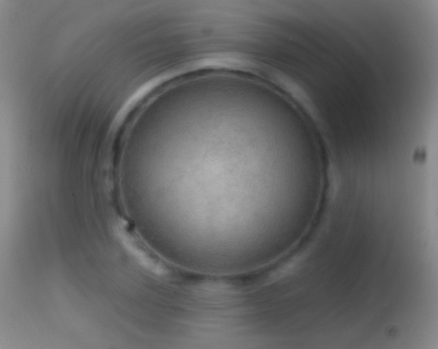 X0000114650931200910201505