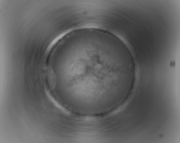 X0000114650933200910201505